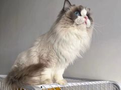 -新泰和人家(金澄天地花园店)