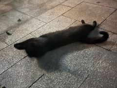 -钱江新城