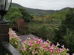 -旺山·浪头人家