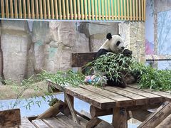 -无锡动物园·太湖欢乐园