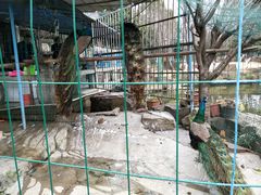 -八大山人梅湖景区