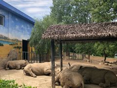 -西安秦岭野生动物园