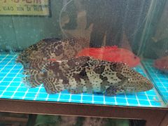 -阿毛饭店(和义路店)