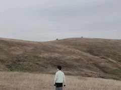 -恋山坝上草原