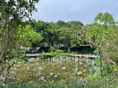 -番禺大夫山森林公园
