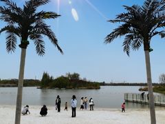 -江苏三台山国家森林公园