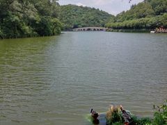 -李小龙乐园(顺德均安店)