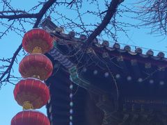 -红螺寺