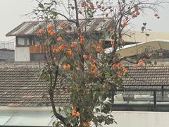 -素心小筑(后沙裕镇店)