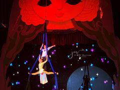 -俄罗斯国家大马戏团