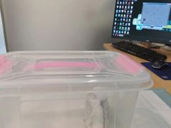 -雨林宠物医院 非犬猫异宠专科