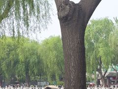 -悦界酒吧(后海店)