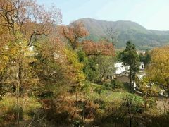 -塔川景区