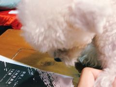 -伽利略剧本探案馆(国贸店)