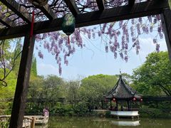 -上海醉白池公园