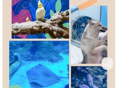 -海合安青岛极地海洋公园