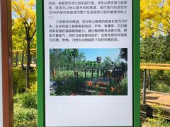 -东郊湿地公园