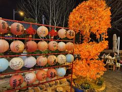 -后湖小院·乡野田园菜