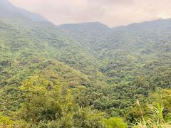 -梧桐山风景名胜区