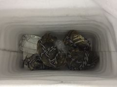 -乡乐园蟹庄·阳澄湖农家乐