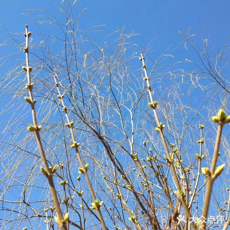 春暖花开奔你而来  我从春天走来，你在秋天说要分开