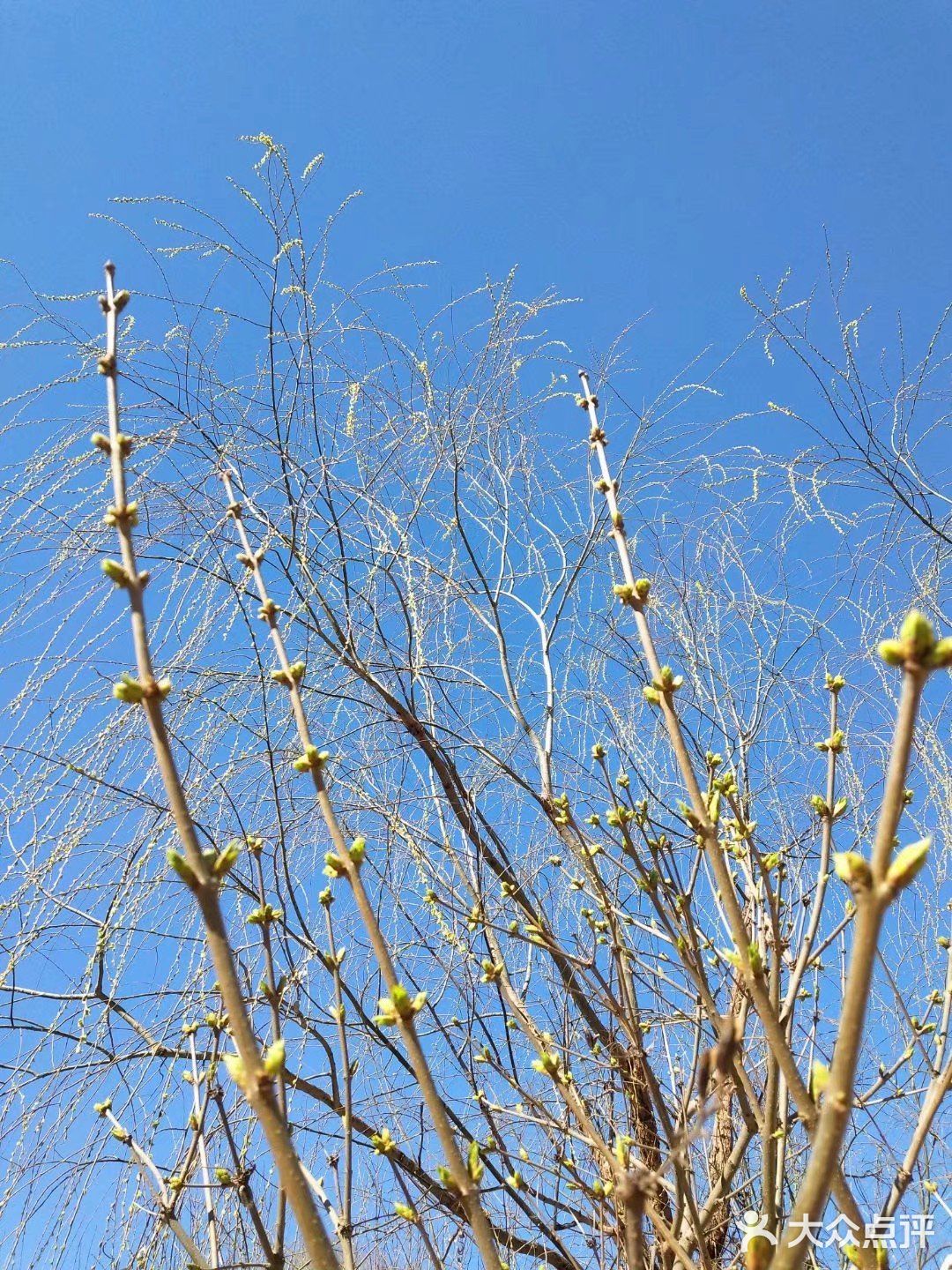 春暖花开奔你而来 我从春天走来,你在秋天说要分开