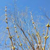 春暖花开奔你而来 我从春天走来,你在秋天说要分开