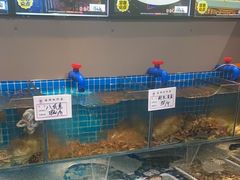 -板凳烧烤(东关街店)