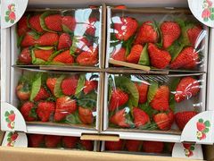 草莓-西郊国际农产品交易中心