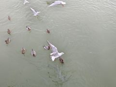 -深圳湾公园(南山区)