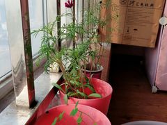 -鲜果时间(南开大悦城店)