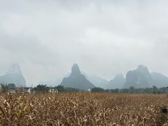 -明仕田园