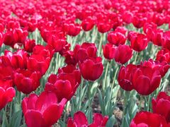 景点-静安雕塑公园