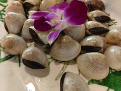 白贝-尚竹阁冬瓜盅·18年地标美食(平洲店)