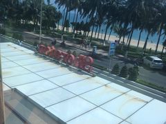 -芽庄喜来登水疗酒店