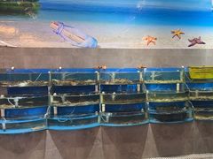 -蓝珊海鲜澳洲和牛自助餐厅