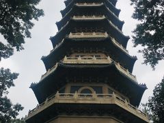 -灵谷景区
