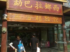 -呀路古热带植物园