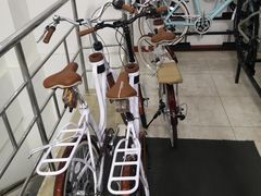 -道路口单车爱瓦士dahon大行