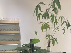 -刺鸟眼镜(全国连锁中山广场店)