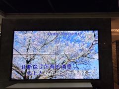 -野妹经典火锅(民治店)