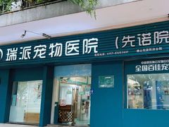 -瑞派先诺宠物医院•猫专科•普外科•中兽医(佛山院)
