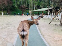 -黄龙溪欢乐田园