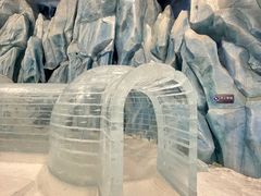 -长沙湘江冰雪世界