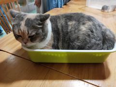 -藦茜花园宠物主题亲子互动体验馆(国顺东路店)