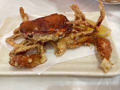 -元气寿司(金光华店)