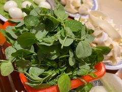 豌豆尖-云南邹记天麻火腿鸡(簇桥店)