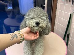 -FAELING PETS美天灵宠物(富力广场店)