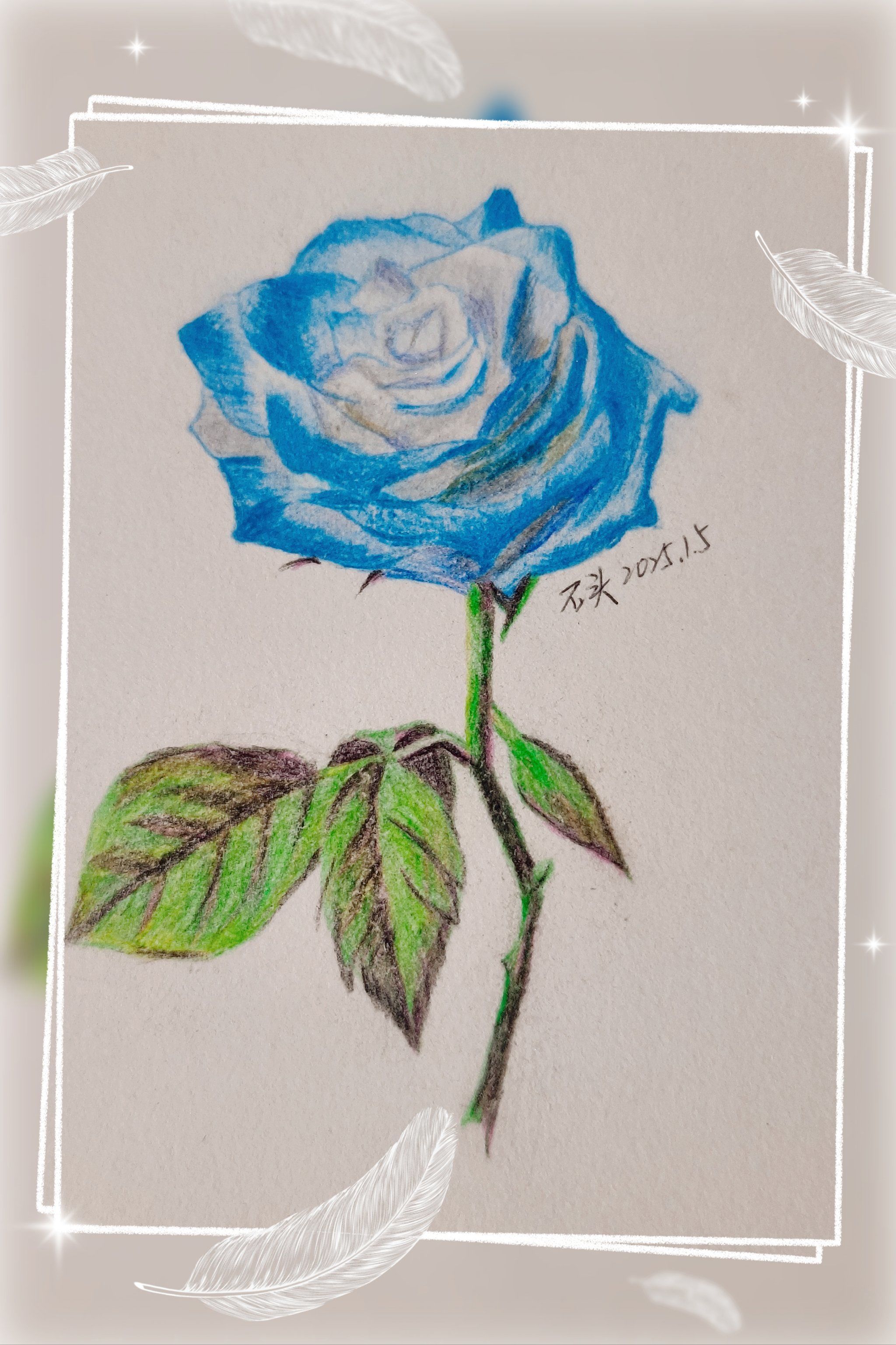 送你一朵彩铅蓝色妖姬玫瑰,给你送去最美好的新春祝福,愿你2025年永远