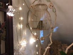 -Jo's Garden